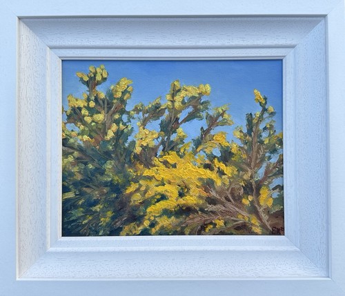 Gorse katia ermi original - ermi,,