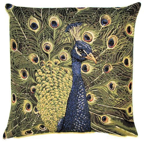 Peacock with tail open - with,