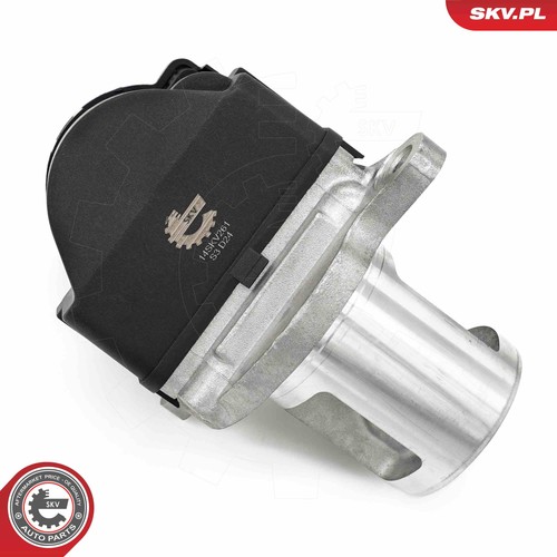 For skv germany 14skv261 egr - 14skv261,