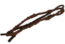 Komodo tropical vine - vine, brown