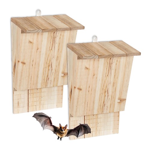 Bat box - bat, house