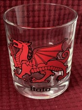 Welsh Bala Dragon Tumbler Glass