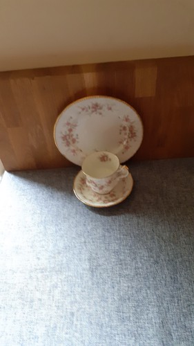 Paragon victoriana rose salad - victoriana,