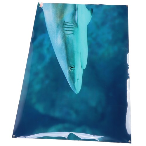 Aquarium background pvc - 3d,