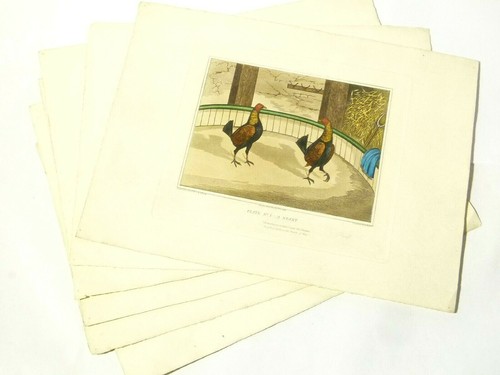 19thc stock cock - stock,