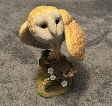 BARN OWL Country Artists