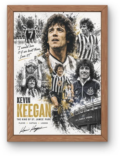 Kevin keegan newcastle united - newcastle,