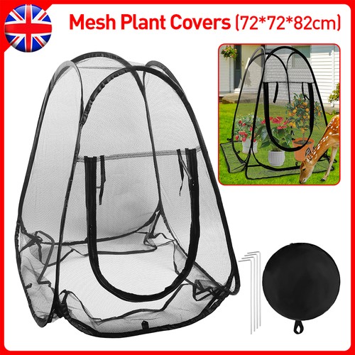 Camping mesh tent - camping,
