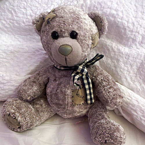 Grey plush teddy bear - grey, soft