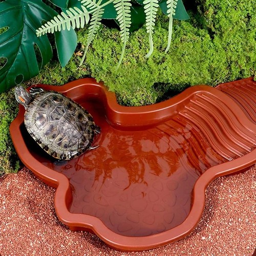 Reptile bathing pool - bathing, water