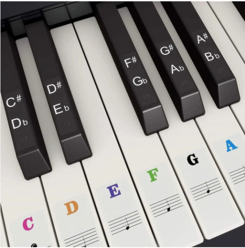 Removable silicone piano - silicone,