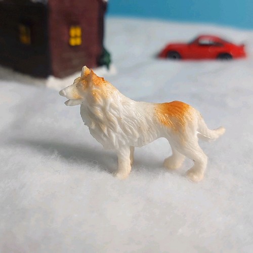 White collie dog miniature - collie,
