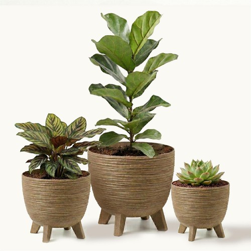 Brown plant pots with legs - brown,