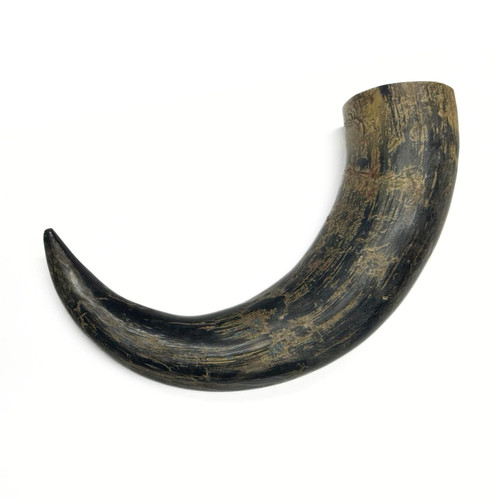 Genuine water buffalo horns - water,