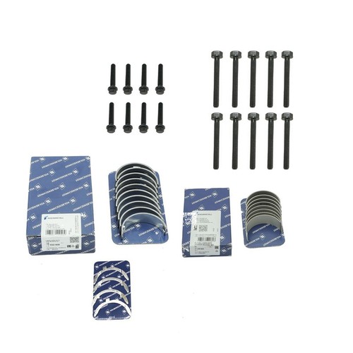 Bearing cup set standard - cup,