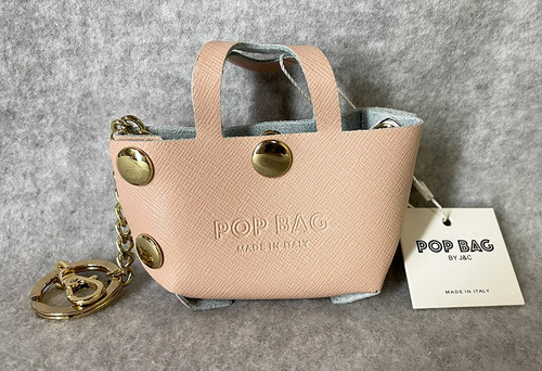 Nwt pop bag mini - nwt,