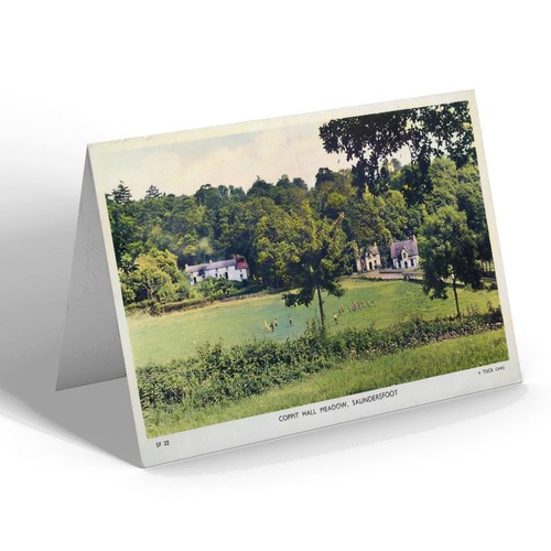 Greeting card vintage wales - greeting,