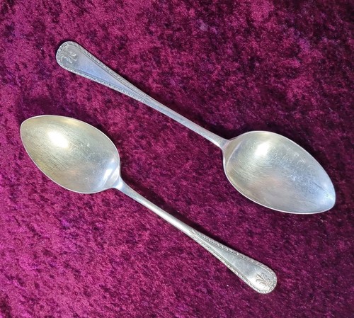 Pair large serving - pair, spoons