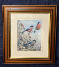 Mark Chester "Bull finches & butterflies" signed framed print, birds, wildlife