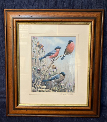 Mark chester bull finches - "bull, &
