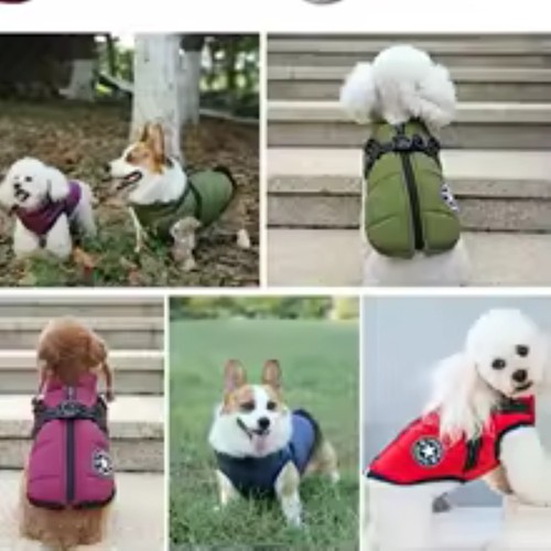 Large pet dog jacket - large,