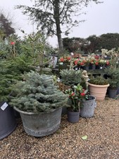 Large Victorian Copper Bowl