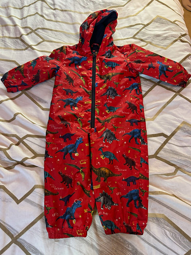 Dinosaur multi print - dinosaur,