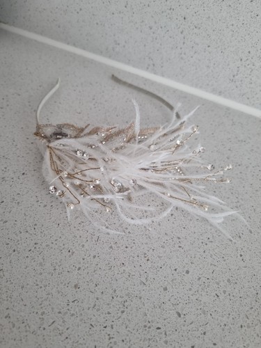 Delicate feather crystals - feather,
