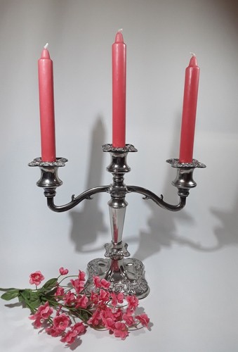Antique branch silver plated - antique,