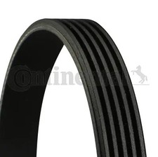 Ribbed belt fits bmw - belt,