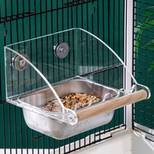 Acrylic Cage Mounted Bird