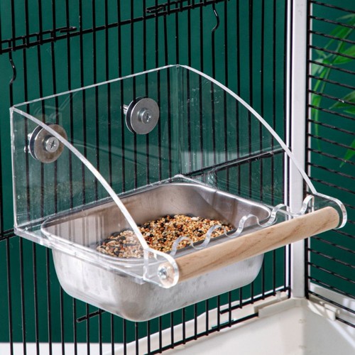 Acrylic cage mounted - mounted, bird