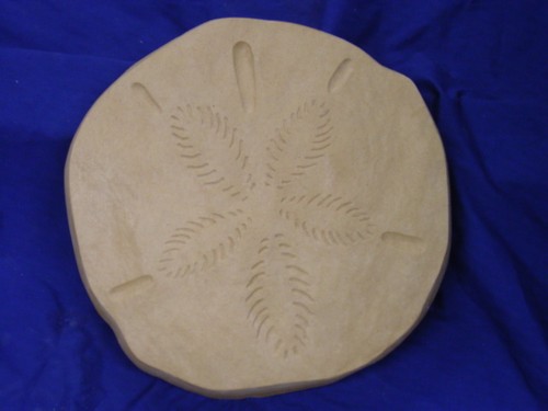 Huge inch sand dollar - 13,