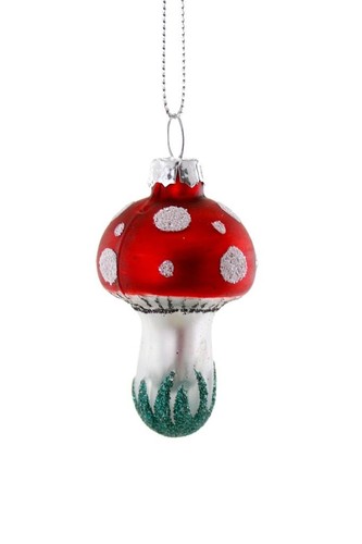 Cody foster toadstool fairy - toadstool,