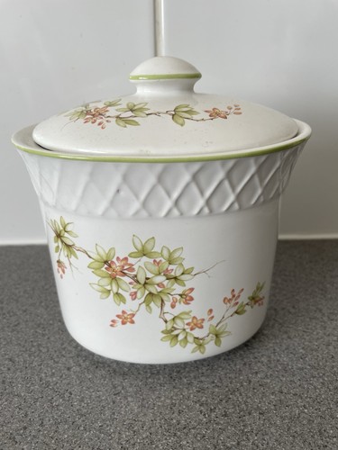 Michael floral trellis - st,