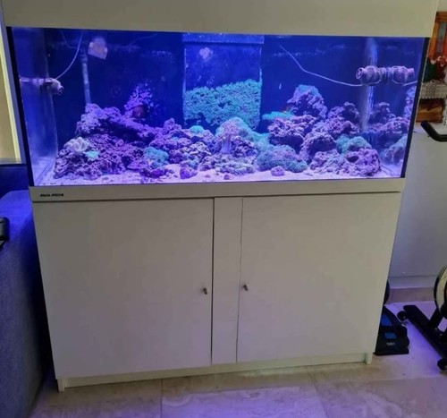 5ft aqua medic reef - medic, tank