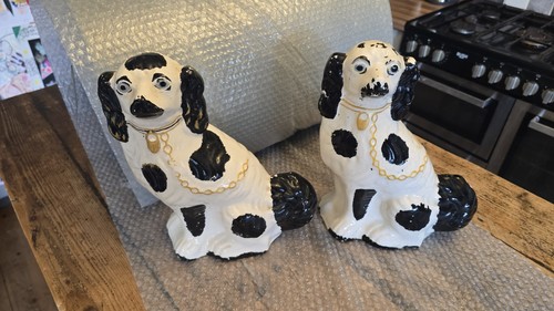 Pair black and white - a, of