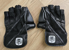 Woodstock Junior Black Cricket