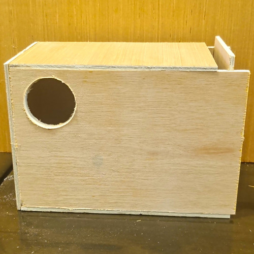 Budgie nest box - budgie,