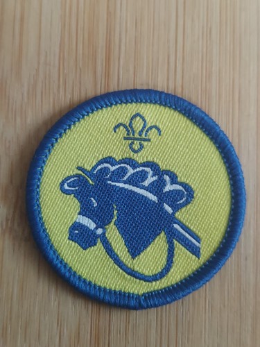Scouting current beaver - uk,
