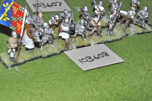 28mm medieval war roses - /,