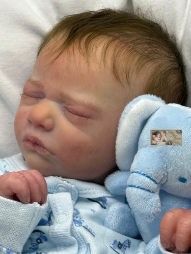 Pbn bargain reborn - pbn***, baby