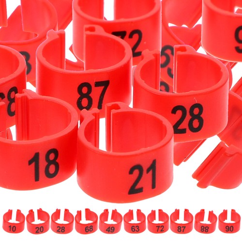 100pcs pigeon identification - pigeon,