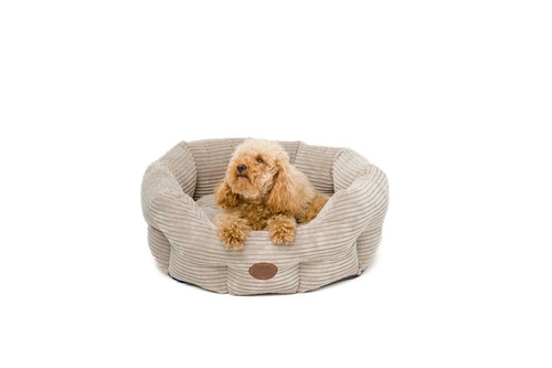 Snug cosy oval pet bed - snug,