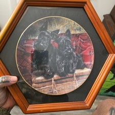 Danbury Mint Collecter