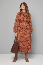 Wallis Burnt Orange Fit &