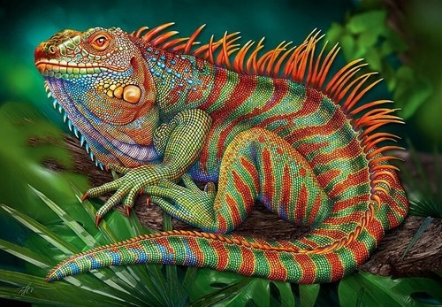 Cherry pazzi incredible - cherry, iguana