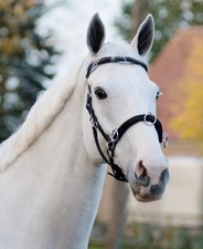 Brand New QHP Black Leather