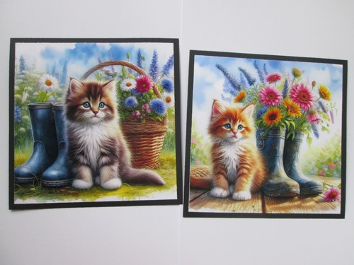 Kittens flowers - x, /