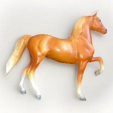 Morgan Stallion Golden